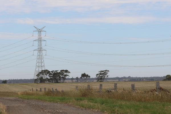 Twin transmission towers in a green field  