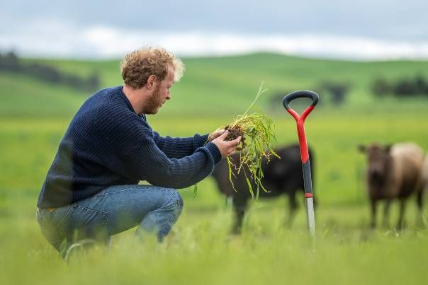Farmer crouching down in field