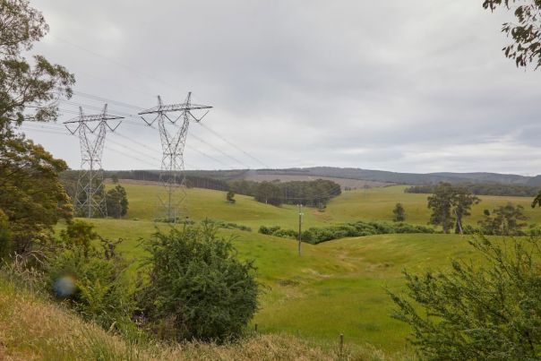 Transmission lines across a green paddock