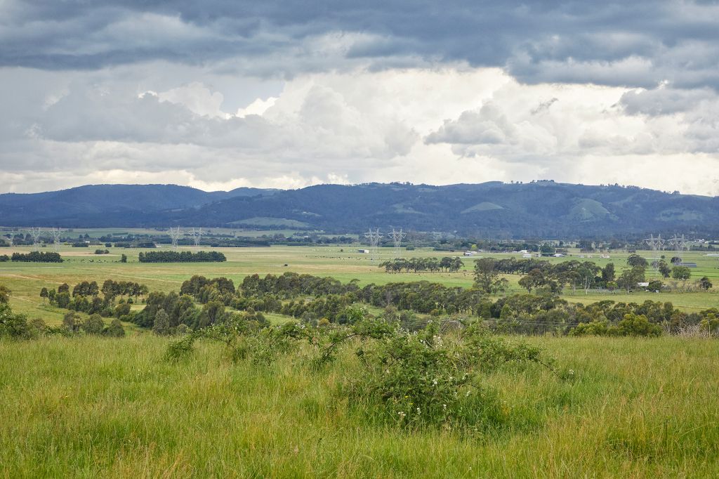 Landscape photograph of a field in Driffield featuring transmission lines in the distance  