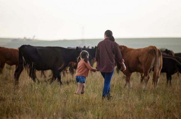 Girl and woman walking in a paddock with cows, while holding hands. 